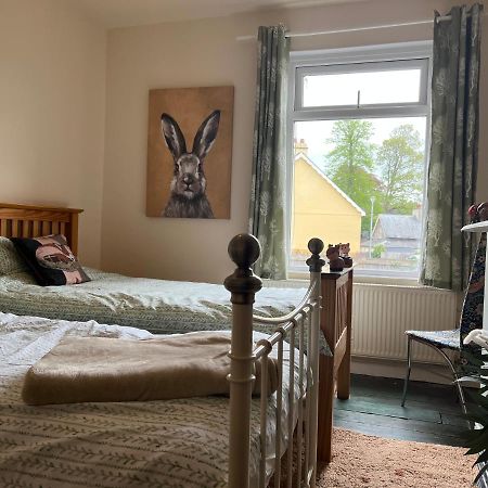 Brecon Town 3 Bedroom House Sleeps 6 Central Location Buitenkant foto