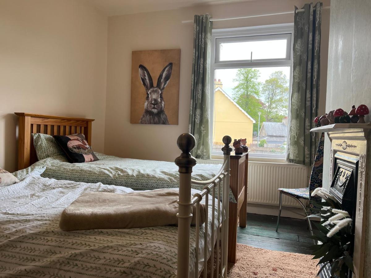 Brecon Town 3 Bedroom House Sleeps 6 Central Location Buitenkant foto
